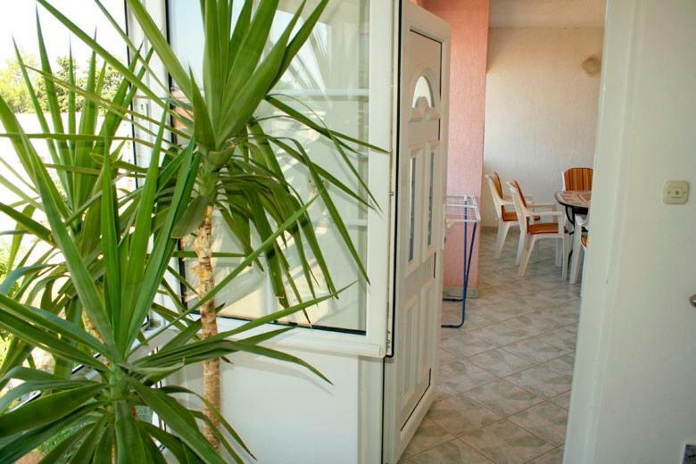 Apartments Mirjana - Stara Novalja Esterno foto