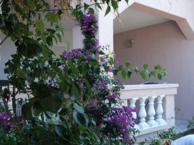 Apartments Mirjana - Stara Novalja Esterno foto